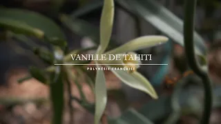 La Vanille de Tahiti