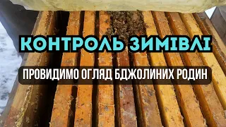 Контроль зимівлі. Як ми провидимо огляд бджолиних родин зимою