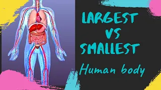 Human body|| Largest||longest||and || smallest