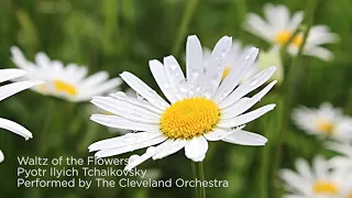 Mindful Music Moments | Waltz of the Flowers