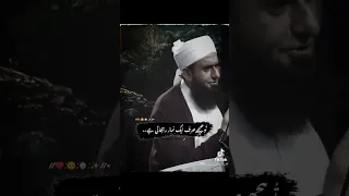 Bayan by Molana Tariq Jameel #mtj #bayan #viral #shorts #tariqjameel #shortsfeed  #youtubeshorts