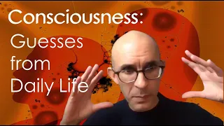 Anil Seth: Consciousness is a Set of Guesses from Our Brain.