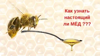 Как проверить качество мёда