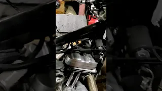 Харизматичный Серëга "Дорога"   выхлоп и вибрации своего Harley-Davidson Sportster 883