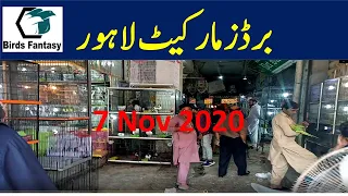 Birds Market Lahore | Tollinton Birds Market Lahore | Birds Fantasy 7 Nov 2020