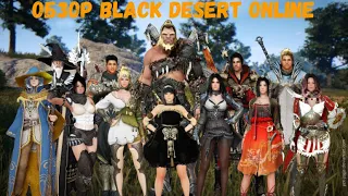 Обзор Black desert online для НОВИЧКОВ!