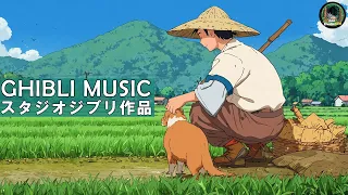 【Summer Ghibli Piano】A Studio Ghibli Summer || Carrying You , Princess Mononoke , City With Sea View