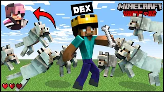 CAN I TAME 1000 WOLF'S ARMY AND SAVE WOLF QUEEN FROM KIDDNAPERS IN Minecraft Jungle Safari (Hindi)