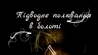 Підводне полювання в болоті 2017