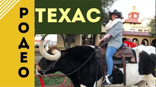 2020 Родео в Техасе/Скачки на быках/Rodeo Fort Worth Taxis Championship Jan 2020