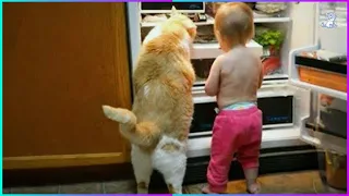 When tiny CRIMINALS BAND TOGETHER 😂- Cute cats and little friends