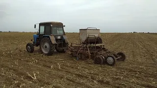 Посев пшеницы сзс 2.1 no till + пар