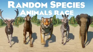 Random Species Animals Category Speed Races in Planet Zoo included Zebra, Elephant, Tiger & etc
