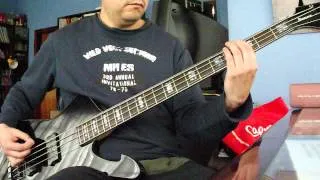 Mother bass cover (Danzig)