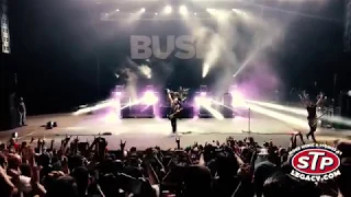 CHEMICALS BETWEN US (2019 REVOLUTION TOUR LIMA PERU) BUSH STONE TEMPLE PILOTS BEST HITS