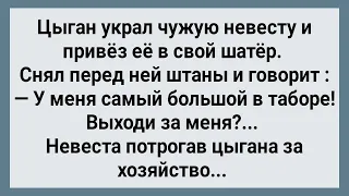 Цыган с Большим Хозяйством Украл Чужую Невесту! Сборник Свежих Анекдотов! Юмор!