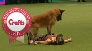 Heelwork To Music - International Freestyle Competition Part 1/3 | Crufts 2017