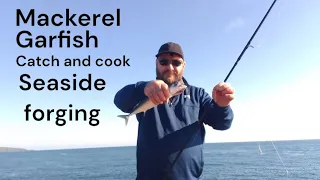 mackerel Fishing and garfish seaside forging catch and cook