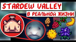 Stardew Valley в РЕАЛЬНОЙ ЖИЗНИ! Как это будет выглядеть?