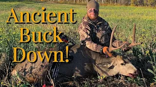 BUCK DOWN! | Mule Deer Hunt BC