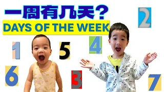 一个星期有几天？How Many Days in a Week? Let's Sing 7 Days a Week!【包老师儿童华语/中文学习/兒歌】Chinese/Mandarin Toddler