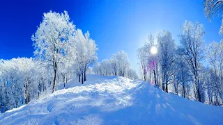 ❄ Beautiful Winter Snow Scene Relaxing Piano Music - Soothing Calming Sleep Meditation Study Music 8