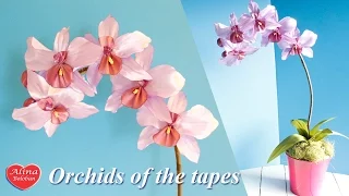 Орхидея из Ленты . Подарочный горшочек / Orchids of the tapes. tutoria. gift pot