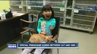 Special friendship forms between three-legged cat and young girl