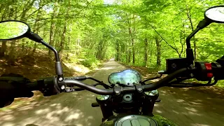 Benelli Leoncino 500cc - Chill ride in the woods / Spring