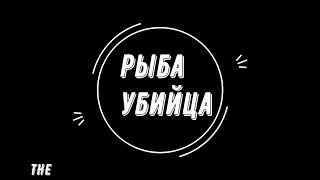 рыба убийца