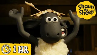 Shaun the Sheep 🐑 Shaun's Baa-d Hair Cut & MORE 👱‍♂️ Full Episodes Compilation