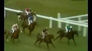 The BBC Grand National 1971 - Specify