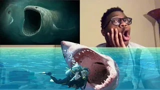 5 Most Mysterious & Unexplained Sea Creatures REACTION!!!!