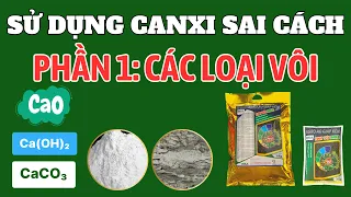 Sử dụng CANXI sai cách | Phần 1: Hiểu sai về các sản phẩm chứa vôi và sử dụng chưa hiệu quả