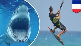 Shark attack: Australian man dies from shark bite while kitesurfing in New Caledonia - TomoNews