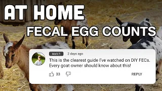 Fecal Egg Counts Simplified - Should you deworm your goat or sheep?