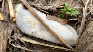 MUST WATCH!!! Find of a lifetime in MISSOURI! Arrowhead Hunting