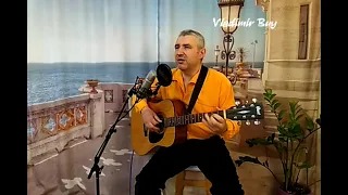 Веселье новогоднее (Юрий Лоза) - cover под гитару