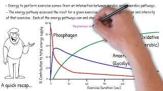 Understanding Aerobic and Anaerobic Endurance