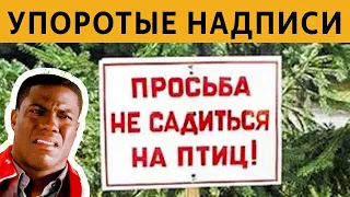 50 САМЫХ ЛЮТЫХ ОБЪЯВЛЕНИЙ - ПРОСЬБА НЕ САДИТЬСЯ НА ПТИЦ :D