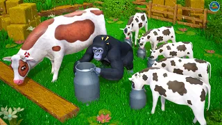 Gorilla's Dairy Dilemma: Cow Calf's Hilarious Milk Stealing Antics! Funny Cows Comedy Cartoons