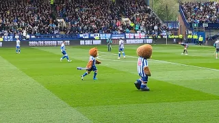 Sheffield Wednesday vs West Bromwich Albion. 27/4/24.