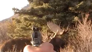 PISTOL VS. BIG MOOSE!!!