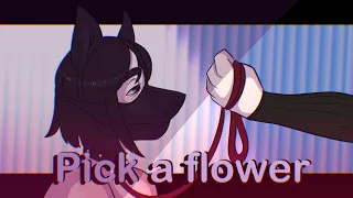 Pick a flower meme animation