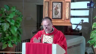La Santa Misa de hoy | Santos Andrés Dũng-Lạc, presbítero, y compañeros, mártires | 24-11-2021