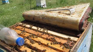 Рамка для гомогената засеяна. 18. 05. 2018 г.