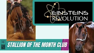 Einsteins Revolution - A Monster Stopping Reining Great (Stallion of the Month Club)