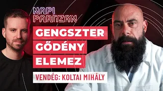 napiPartizán #9 | Gengszter Gődény elemez