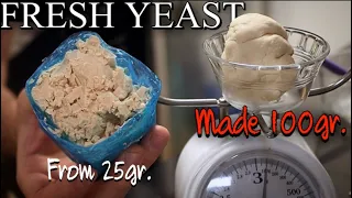 How to Make the YEAST to Never END! and Last FOREVER