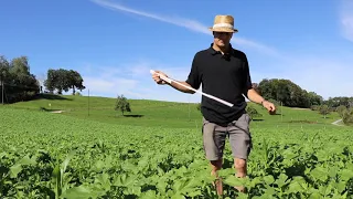 Praxisvideo regenerative Landwirtschaft